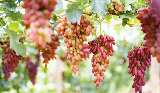 20230803/4b1ae536aa25b3c08bf16aad36e322af.png 文章配图1.png