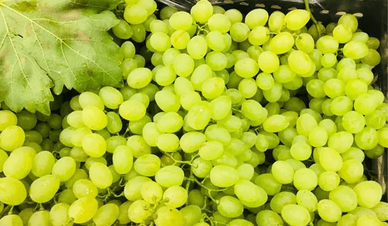 20230803/c118c67270c96e519432b2cecc31f77f.png 文章配图5.png